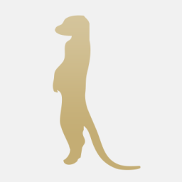 Meerkat